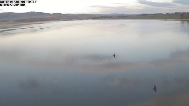 93.91.53.245 inet4 s.r.o. Added on 2016-04-25 04:40:18 GMT Czech Republic, Ceske Budejovice