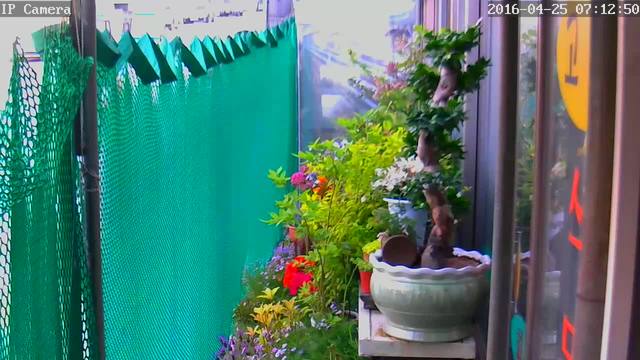 183.104.36.20 Korea Telecom Added on 2016-04-24 22:12:54 GMT Korea, Republic of